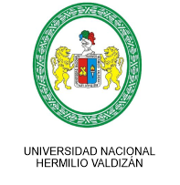 Universidad Nacional Hermilio Valdizán